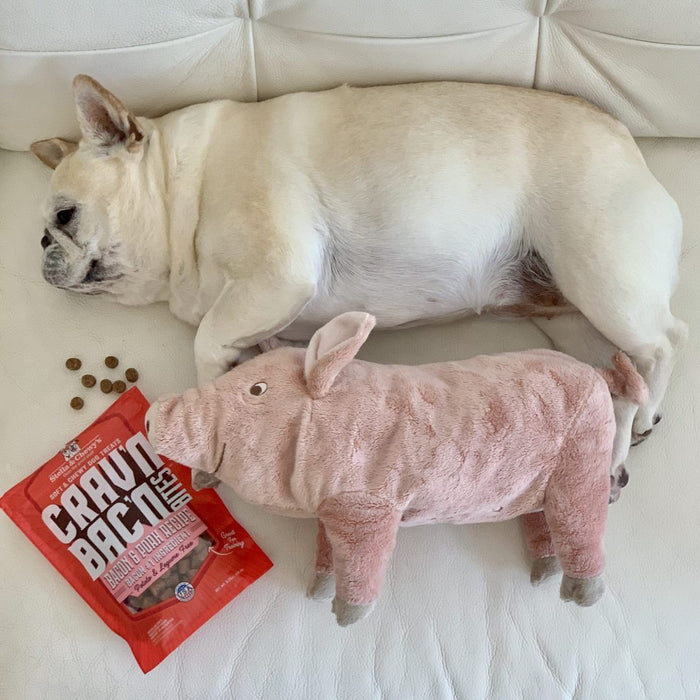 Stella gâterie bacon et porc pour chiens