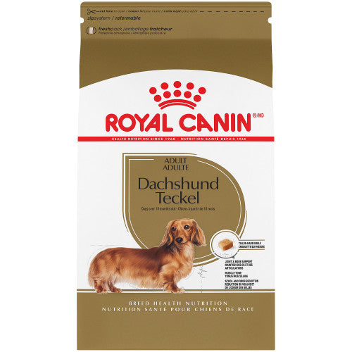 Royal Canin chien adulte race teckel - dachshund